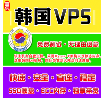 韩国VPS推荐8912M购买，怎么用翻墙搜索